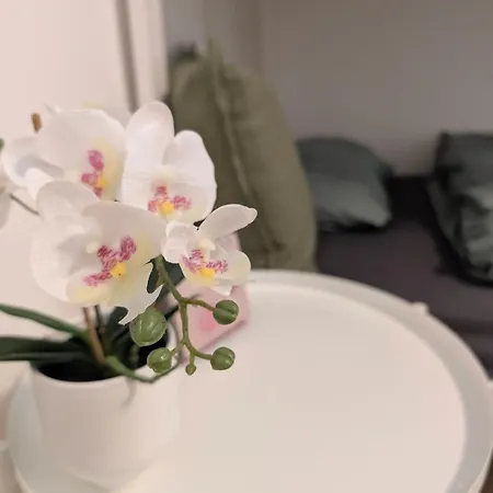 Apartman Ferienwohnung *