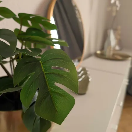 Ferienwohnung Apartman *